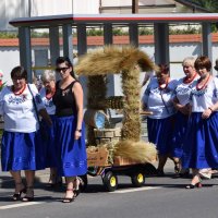 Zobacz w powiększeniu: Dożynki Gminne Baranów 2025 (37)